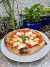 Margherita Pizza